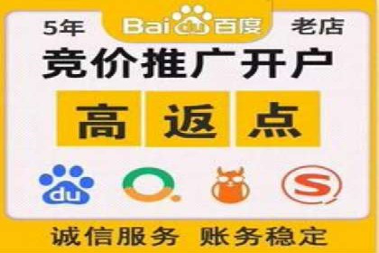 SEM推广代运营公司：实战案例解析